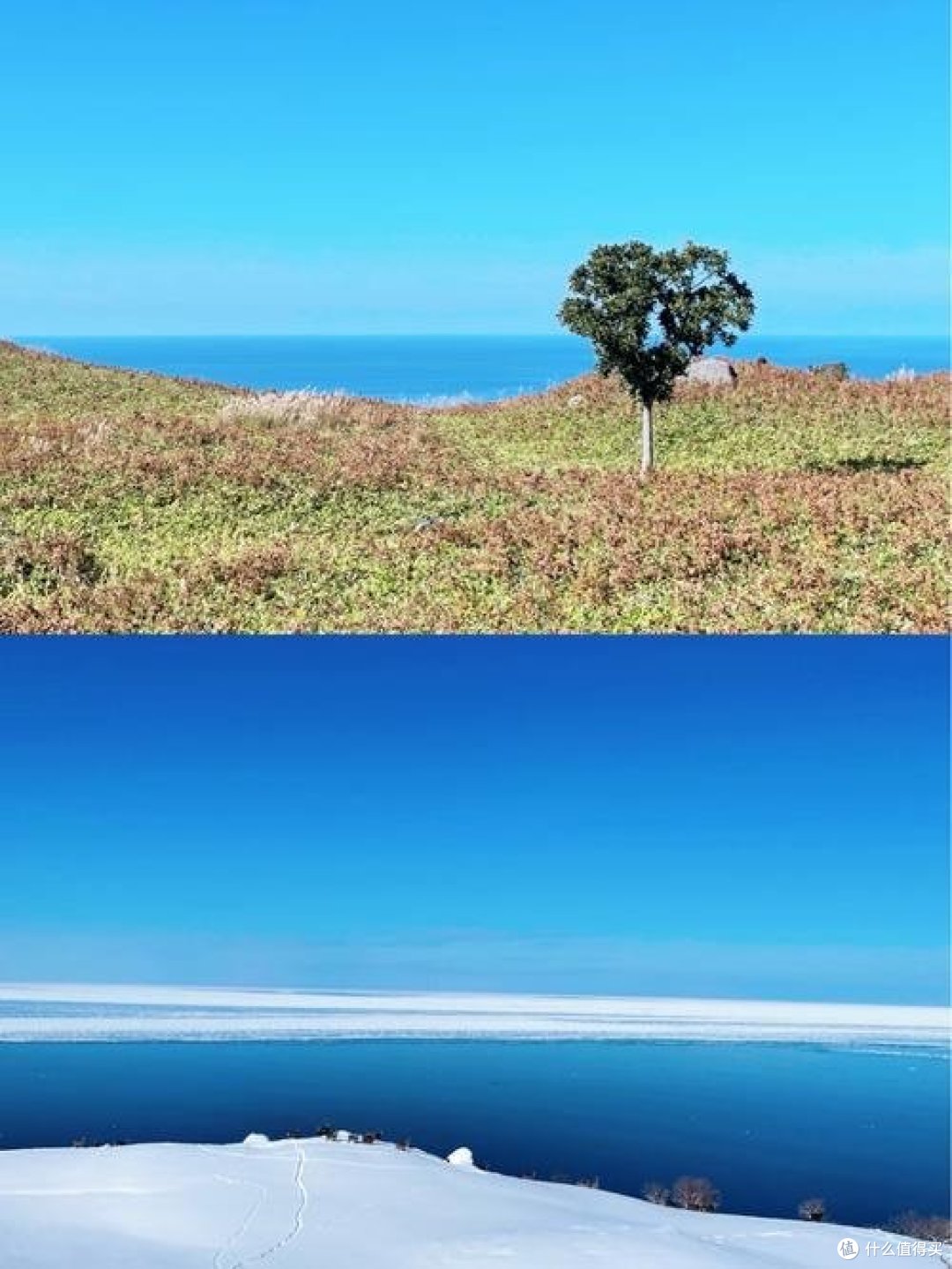 制定篮球交流计划以促进个人技能发展的方法_1